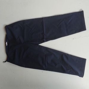 Eileen Fisher Navy Stretch Pants PL